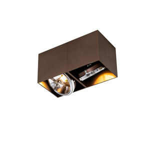 Design spot donkerbrons rechthoekig 2-lichts - Box
