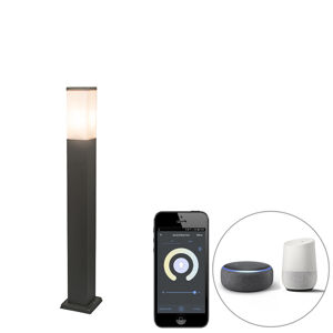 Inteligentný vonkajší lampáš tmavosivý 80 cm vrátane WiFi P45 - Malios
