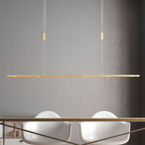 Quitani LED závesné svietidlo Tolu, dĺžka 119 cm, mosadz